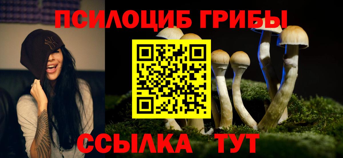 Галлюциногенные грибы мухоморы Жигулёвск